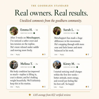 Equine Wellness - MetaSupport